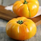 Brandywine Yellow Standard Slicing Lycopersicon Esculentum Tomato Seeds Easy to Grow