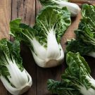 Chinese Pak Choi Dwarf 4 6 Brassica Rapa Chinensis Vegetable Seeds Easy to Grow