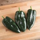 Ancho Pepper Hot Capsicum Annuum Vegetable Seeds Quick Growing Easy to Grow