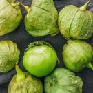 Verde Tomatillo Physalis Ixocarpa Vegetable Seeds Tart Flavor Easy to Grow Verde Tomatillo Physalis Ixocarpa Vegetable Seeds Tart Flavor Easy to Grow