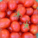 Uva Roja F1 Hybrid Tomato Grape Tomato Lycopersicon Esculentum Tomato Seeds Easy to Grow