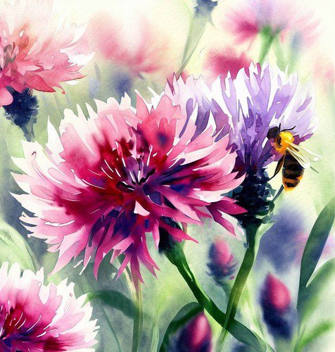 Centaurea Cyanus Cornflower Polka Dot Mix Flower Seeds Attractiv Fragrant Easy to Grow