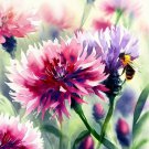 Centaurea Cyanus Cornflower Polka Dot Mix Flower Seeds Attractiv Fragrant Easy to Grow