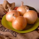 Texas Early Grano 502 Onion Short Day Allium Cepa Vegetable Seeds Easy to Grow
