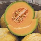 Delicious 51 Melon Cucumis Melo Vegetable Seeds Super Sweet Juicy Flesh Easy to Grow
