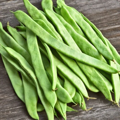 Roma Ii Green Bush Bean Phaseolus Vulgaris Vegetable Seeds High Yields Easy to Grow