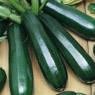Dark Green Zucchini Squash Summer Cucurbita Pepo Vegetable Seeds High Yield Easy to Grow
