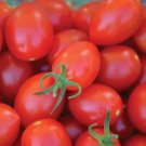 Red Grape F1 Hybrid Tomato Grape Tomato Lycopersicon Esculentum Tomato Seeds Easy to Grow