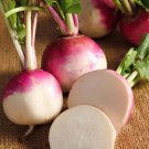 Purple Top White Globe Turnip Brassica Rapa Vegetable Seeds Distinctive Shape Easy to Grow