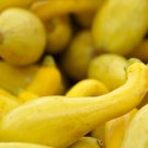 Golden Summer Crookneck Squash Summer Cucurbita Pepo Vegetable Seeds Easy to Grow