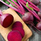 Bull'S Blood Beet Beta Vulgaris Vegetable Seeds Tender Sweet Flavor Easy to Grow Bull'S Blood Beet Beta Vulgaris Vegetable Seeds Tender Sweet Flavor Easy to Grow