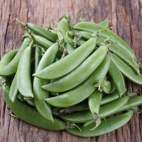 Cascadia Snap Pea Edible Pod Snap Pea Pisum Sativum Vegetable Seeds Easy to Grow
