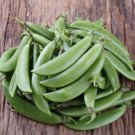 Cascadia Snap Pea Edible Pod Snap Pea Pisum Sativum Vegetable Seeds Easy to Grow