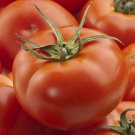 Burpee’S Big Boy F1 Hybrid Lycopersicon Esculentum Tomato Seeds Easy to Grow