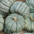 Jarrahdale Blue Pumpkin Cucurbita Maxima Vegetable Seeds Large Size Easy to Grow