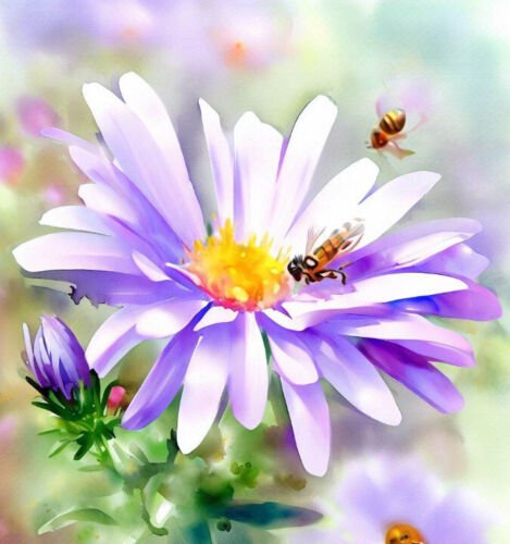 Aster Laevis Smooth Aster Flower Seeds Elegant And Graceful Blooms Easy to Grow