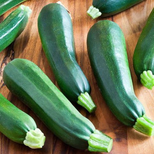 Black Beauty Zucchini Squash Summer Cucurbita Pepo Vegetable Seeds Easy to Grow