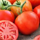 Delicious Tomato Standard Slicing Lycopersicon Esculentum Tomato Seeds Easy to Grow