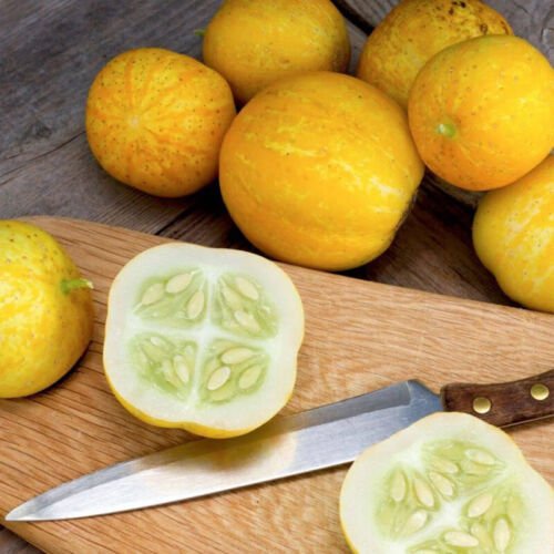 Lemon Cucumber Slicing Cucumis Sativus Vegetable Seeds  Maturity Easy to Grow