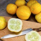 Lemon Cucumber Slicing Cucumis Sativus Vegetable Seeds  Maturity Easy to Grow