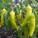 Sweet Banana Pepper Sweet Capsicum Annuum Vegetable Seeds Distinctive Shape Easy to Grow
