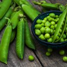 Lincoln Shelling Garden Pea Pisum Sativum Vegetable Seeds Cold Heat Tolerant Easy to Grow