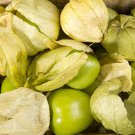 Grande Rio Verde Tomatillo Physalis Ixocarpa Vegetable Seeds Larger Size Easy to Grow Grande Rio Verde Tomatillo Physalis Ixocarpa Vegetable Seeds Larger Size Easy to Grow