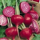 Chioggia Beet Beta Vulgaris Vegetable Seeds Sweet Mild Flavor Easy to Grow