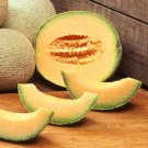 Planters Jumbo Melon Cucumis Melo Vegeatable Seeds Extra Large Size Easy to Grow