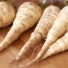 Hollow Crown Parsnip Pastinaca Sativa Vegetable Seeds Long Roots Easy to Grow