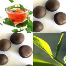 Camellia Sinensis Tea Tea Plant Shrub Seeds Green Black Oolong And White Easy to Grow