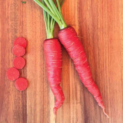 Atomic Red Carrot Daucus Carota Vegetable Seeds Bright Red Color Easy to Grow