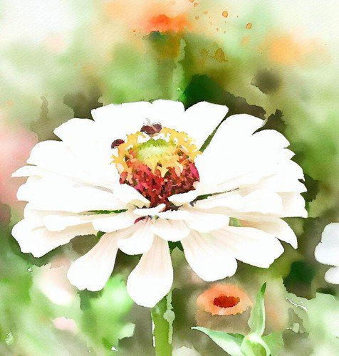 Zinnia Elegans Zinnia White Polar Bear Flower Seeds Showy Stunning Blooms Easy to Grow