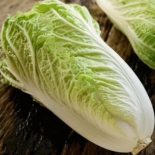 Matsushima Barrel Head Type Brassica Rapa Pekinensis Vegetable Seeds Easy to Grow