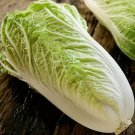 Matsushima Barrel Head Type Brassica Rapa Pekinensis Vegetable Seeds Easy to Grow
