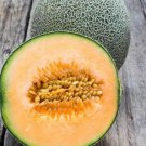 Edisto 47 Melon Cucumis Melo Vegeatable Seeds Sweet And Spicy Flavor Easy to Grow