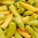 Hungarian Yellow Hot Wax Pepper Hot Capsicum Annuum Vegetable Seeds Easy to Grow