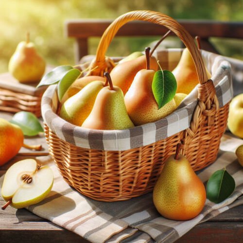 Pyrus Communis 'Bartlett' Bartlett Pear Fruit Seeds Most Popular Pear Easy to Grow