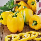 Sunbright Yellow Bell Pepper Sweet Capsicum Annuum Vegetable Seeds Easy to Grow