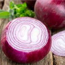 Red Ruby Onion Long Day Allium Cepa Vegetable Seeds Pungent Spicy Flavor Easy to Grow Red Ruby Onion Long Day Allium Cepa Vegetable Seeds Pungent Spicy Flavor Easy to Grow