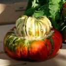 Turks Turban Gourd Squash Winter Cucurbita Maxima Vegetable Seeds Easy to Grow