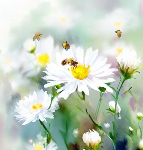 Aster Ptarmicoides White Upland Aster Flower Seeds Fragrant Elegant Flowers Easy to Grow