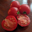 Arkansas Traveler Standard Slicing Lycopersicon Esculentum Tomato Seeds Easy to Grow