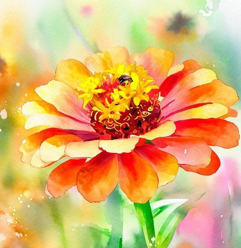 Zinnia Elegans Zinnia Orange Orange King Flower Seeds Vibrant Display Easy to Grow