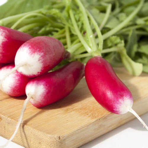French Break Radish Raphanus Sativus Vegetable Seeds Low Calorie Snack Easy to Grow