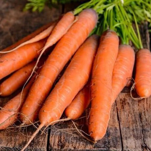 Imperator 58 Carrot Daucus Carota Vegetable Seeds Sweet Mild Flavor Easy to Grow