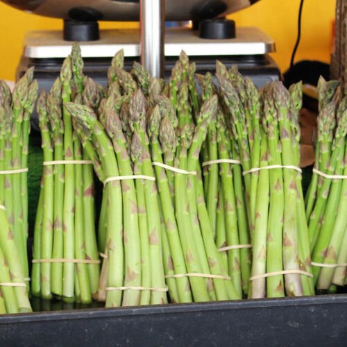 Asparagus Uc 157 F2 Asparagus Officinalis Vegetable Seeds High Yields Easy to Grow