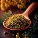 Dill Dukat Anethum Graveolens Herb Seeds Ancient Herb Easy to Grow
