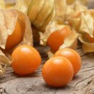 Pineapple Tomatillo Physalis Ixocarpa Vegetable Seeds Bright And Colorful Easy to Grow Pineapple Tomatillo Physalis Ixocarpa Vegetable Seeds Bright And Colorful Easy to Grow