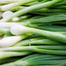 Heshiko Onion Bunching Allium Fistulosum Vegetable Seeds Mild Sweet Flavor Easy to Grow